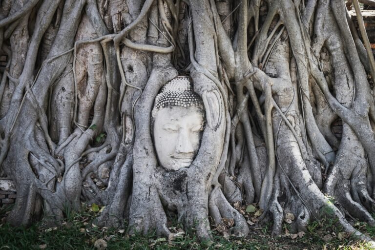 Wat Mahathat (Ayutthaya)