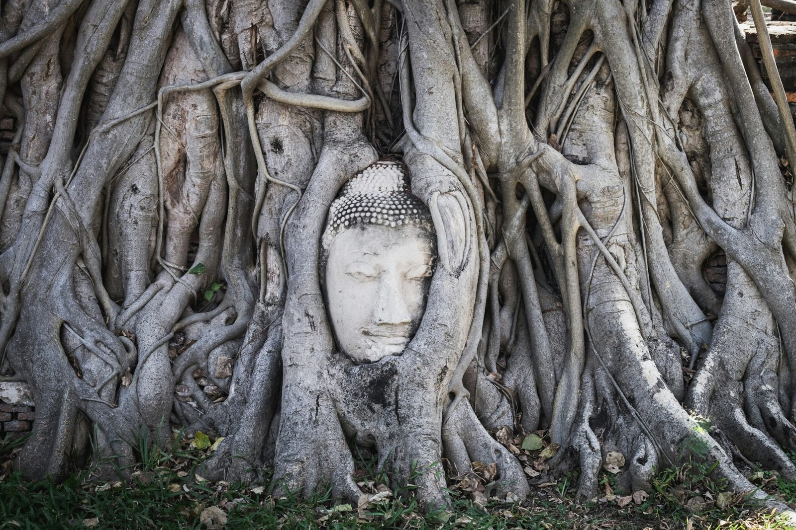 Wat Mahathat (Ayutthaya)